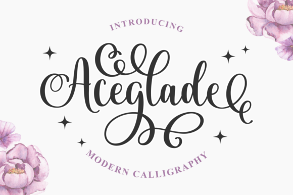 Aceglade: Elevating Designs with Magical Script Typography