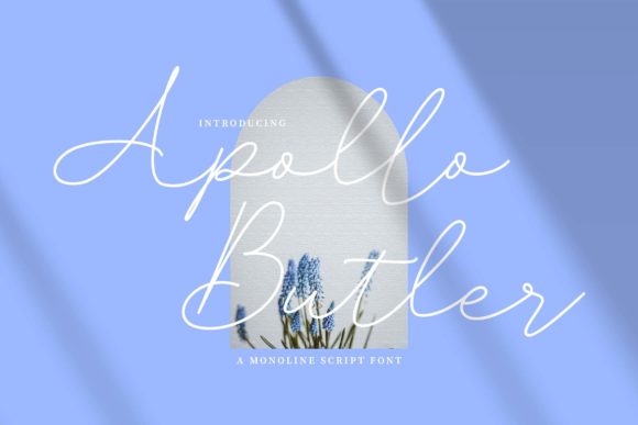 Apollo Butler: Elegance for Modern Design