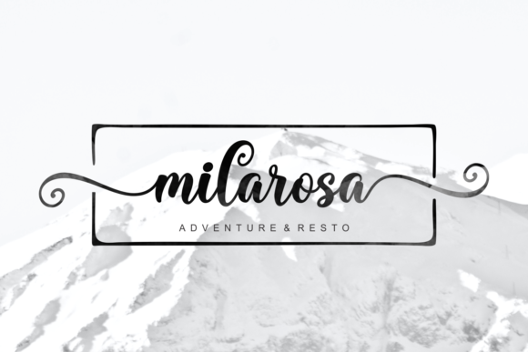 Shimory: A Dazzling Script Font for Modern Design
