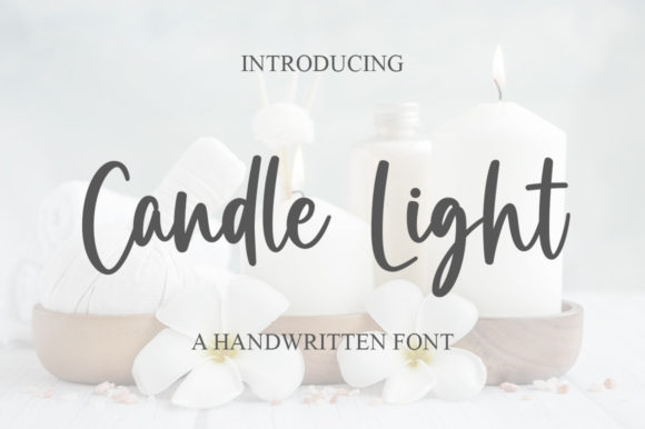 The Elegant Script Font for Modern Design